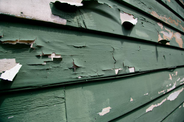 Best Same-Day Junk Removal Services  in Dayton, OR