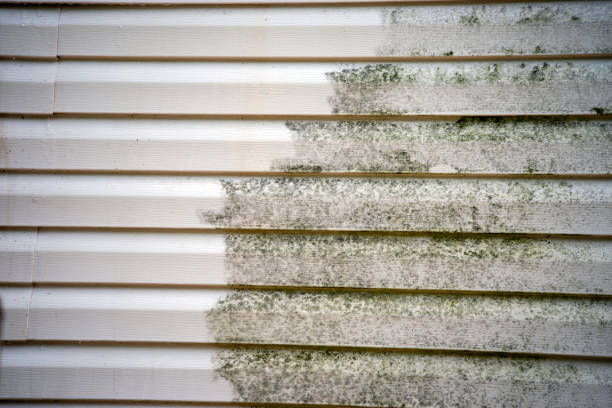 Best Foreclosure Cleanout  in Dayton, OR